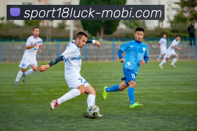 App Interface Preview